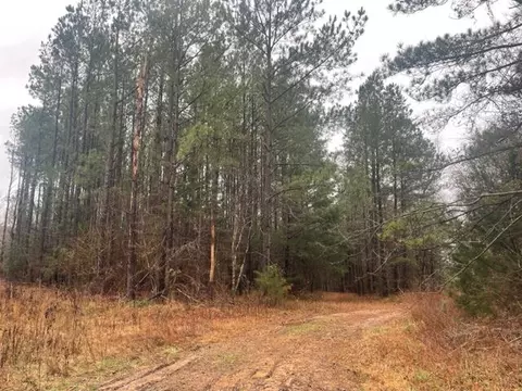 122 Rocky Dr, Buffalo, SC 29321 photo 1