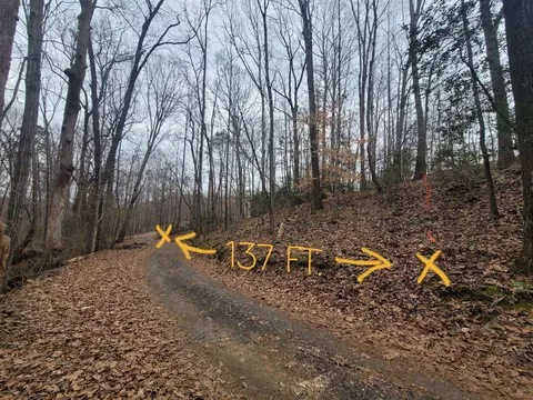 177 Chigger Creek Rd, Chesnee, SC 29323 photo 6