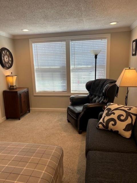 118 Cooley, Duncan, SC 29334 photo 9