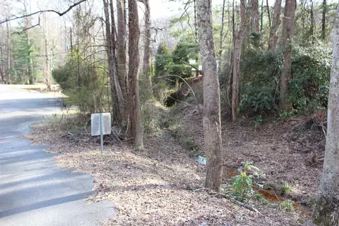 620 S Trade St, Tryon, NC 28782 photo 15