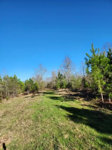 14019 Neeley Ferry Rd, Waterloo, SC 29384 photo 11