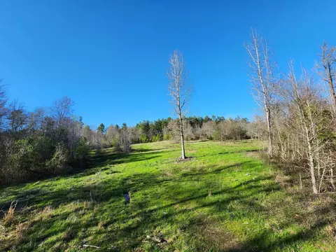 14019 Neeley Ferry Rd, Waterloo, SC 29384 photo 9