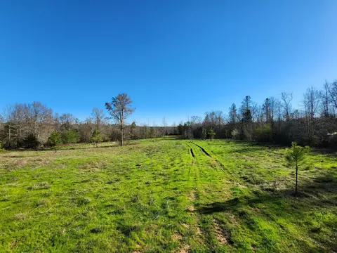 14019 Neeley Ferry Rd, Waterloo, SC 29384 photo 10