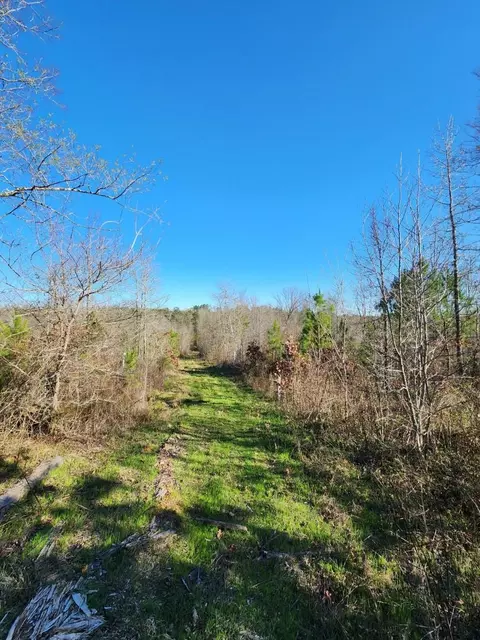14019 Neeley Ferry Rd, Waterloo, SC 29384 photo 12