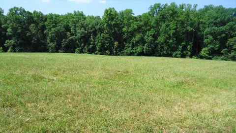 150 Hunter Hack Trl, Campobello, SC 29322 photo 11