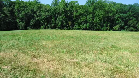 150 Hunter Hack Trl, Campobello, SC 29322 photo 7