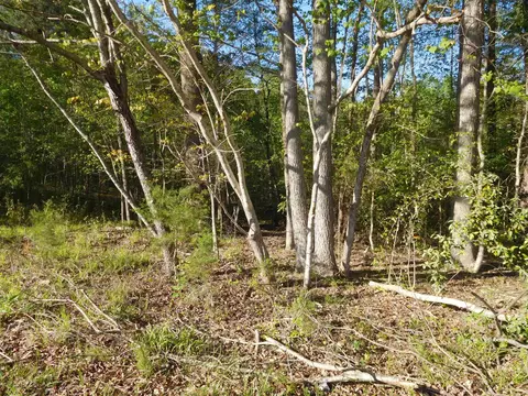 tbd Great Meadows Road Rd, Gaffney, SC 29340