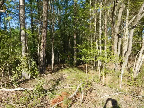tbd Great Meadows Road Rd, Gaffney, SC 29340 photo 3
