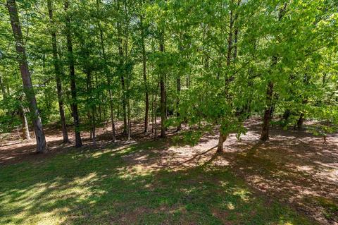 508 Long Branch Rd, Chesnee, SC 29323 photo 19