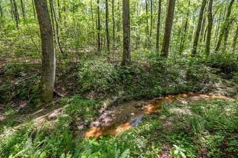 508 Long Branch Rd, Chesnee, SC 29323 photo 10