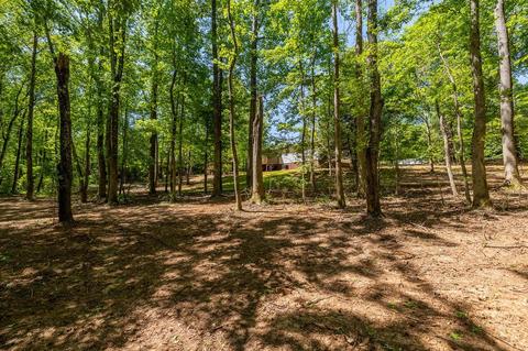 508 Long Branch Rd, Chesnee, SC 29323 photo 15
