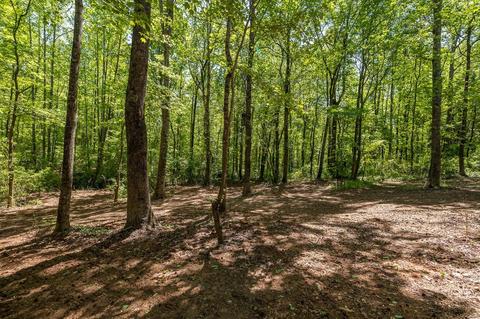 508 Long Branch Rd, Chesnee, SC 29323 photo 16