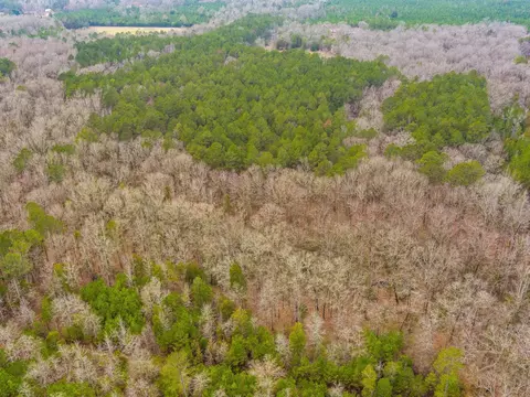 Cox Road, Troy, SC 29848 photo 9