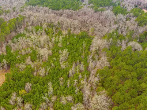 Cox Road, Troy, SC 29848 photo 8