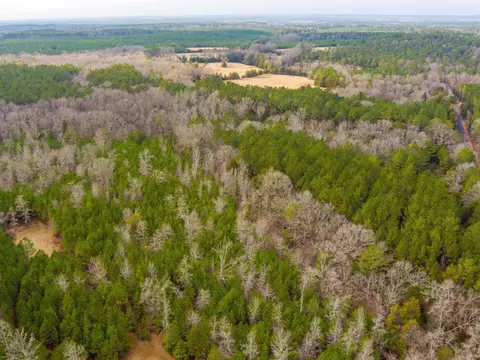 Cox Road, Troy, SC 29848 photo 11