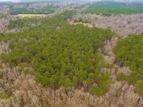 Cox Road, Troy, SC 29848 photo 10