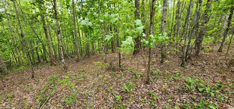 lot23 S Cross Creek Trail Trl, Mill Spring, NC 28756