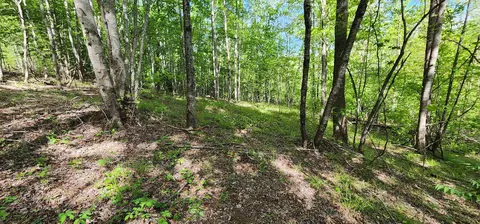 lot24 S Cross Creek Trail Trl, Mill Spring, NC 28756
