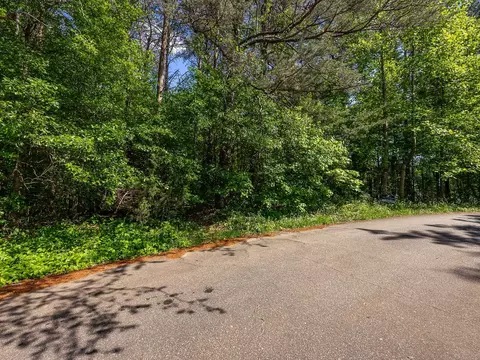 0 W Simmons St, Landrum, SC 29356