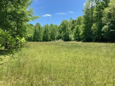 tbd Dravo Road Rd, Blacksburg, SC 29702