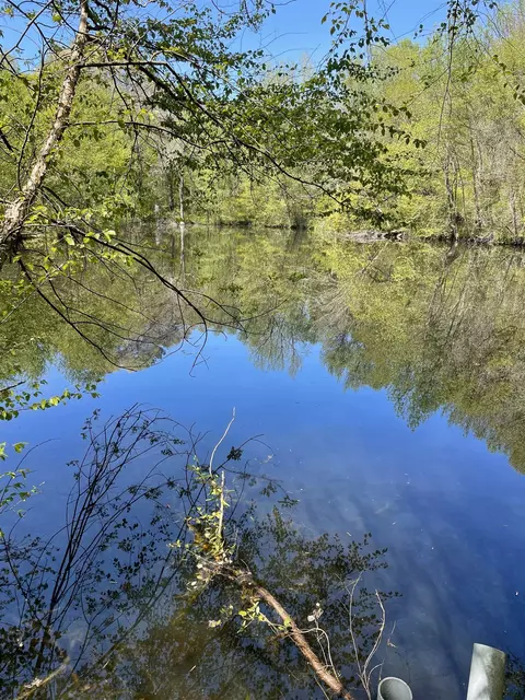 310 Browns Creek Road Rd, Union, SC 29379