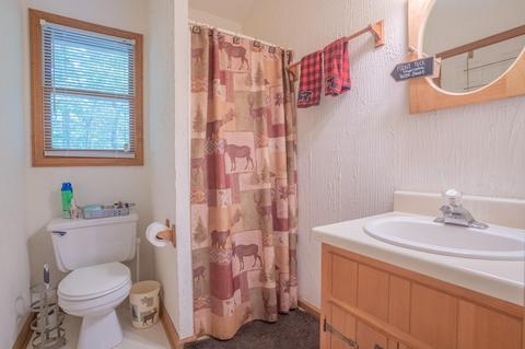 718 Piney Gate Rd, Saluda, NC 28773 photo 14