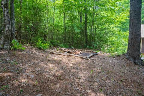 718 Piney Gate Rd, Saluda, NC 28773 photo 16