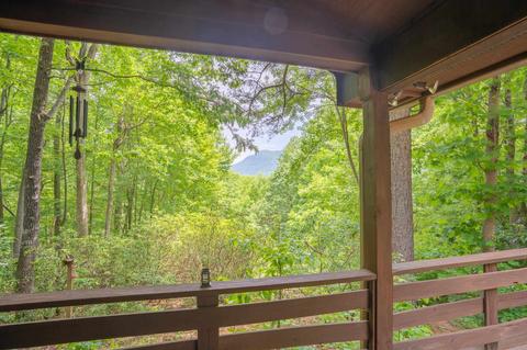 718 Piney Gate Rd, Saluda, NC 28773 photo 3