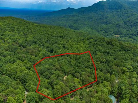 718 Piney Gate Rd, Saluda, NC 28773 photo 18