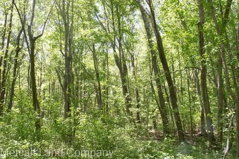 0 Emerald Dr, Campobello, SC 29322 photo 8