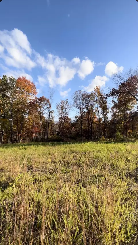 002 Lake Adger Rd, Mill Spring, NC 28756 photo 3