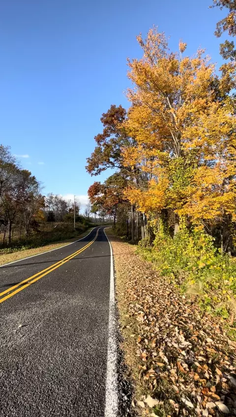002 Lake Adger Rd, Mill Spring, NC 28756 photo 4