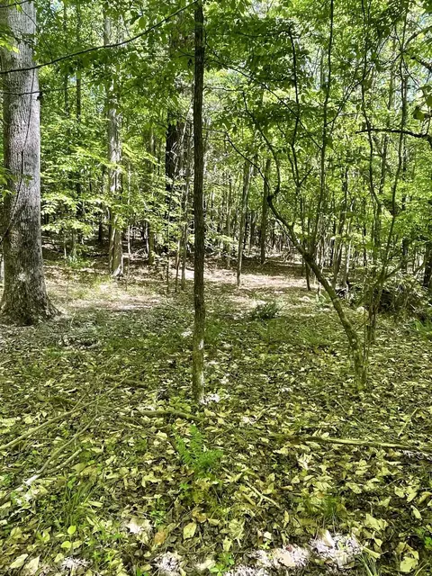 186 Summer Valley Rd, Buffalo, SC 29321 photo 9
