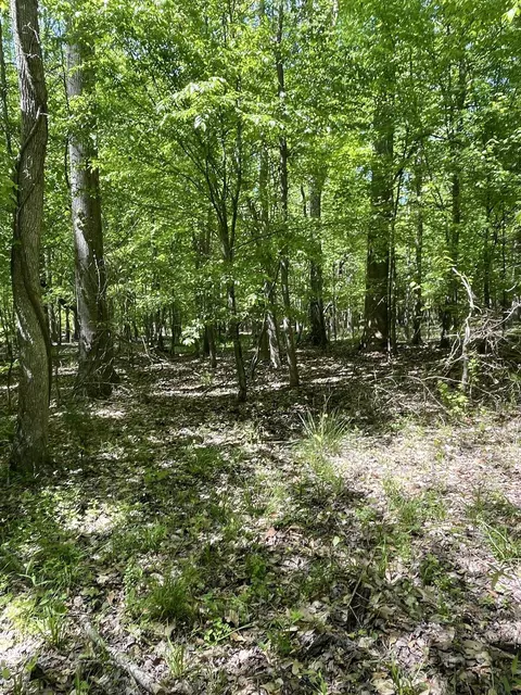 186 Summer Valley Rd, Buffalo, SC 29321 photo 10