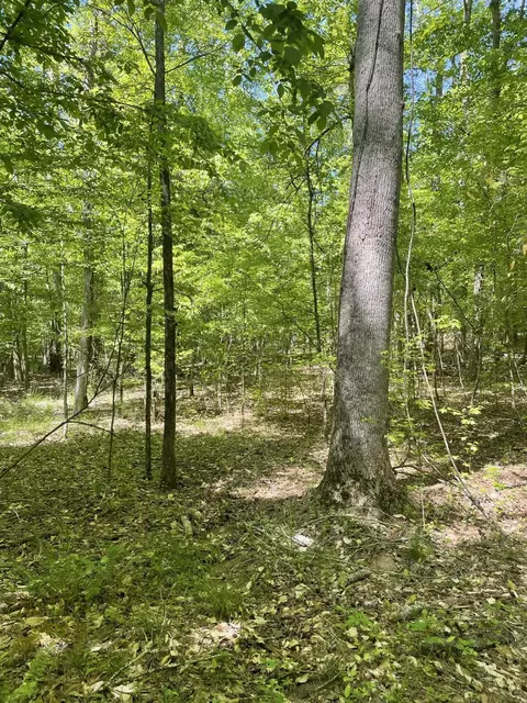 186 Summer Valley Rd, Buffalo, SC 29321 photo 7