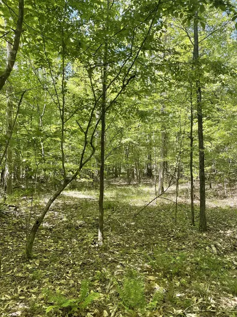 186 Summer Valley Rd, Buffalo, SC 29321 photo 6