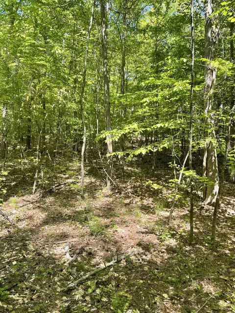 186 Summer Valley Rd, Buffalo, SC 29321 photo 8