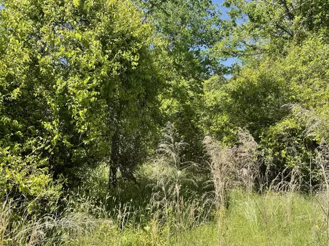 186 Summer Valley Rd, Buffalo, SC 29321 photo 12