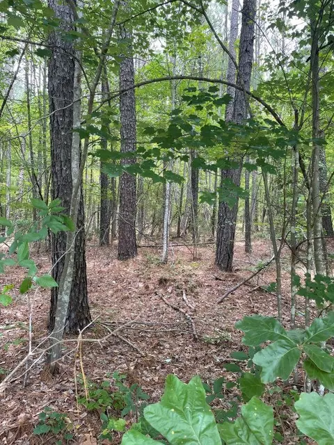 5903 Whitmire Hwy, Whitmire, SC 29178