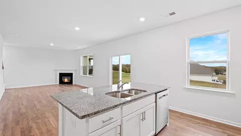 1322 Chamomile Ct, Lyman, SC 29365 photo 10