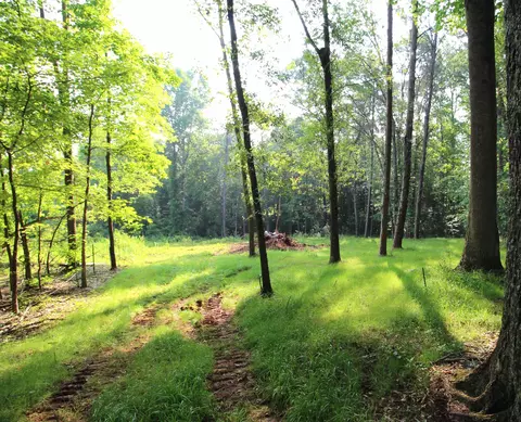 74 Simmons St, Wellford, SC 29385
