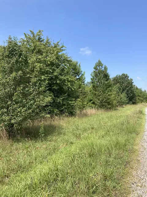 0 Champion Ferry Rd, Gaffney, SC 29341