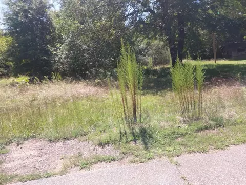 321 Irby Rd, Spartanburg, SC 29301
