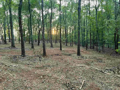 Tract 4 Iron Bridge Road, Cowpens, SC 29330