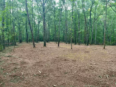 5 Iron Bridge Road, Cowpens, SC 29330