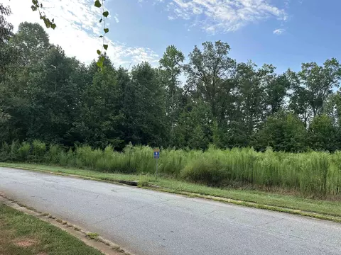 30 Mountain Height Ct, Greer, SC 29651 photo 4