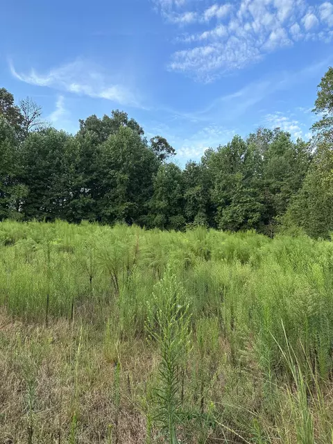 30 Mountain Height Ct, Greer, SC 29651 photo 2