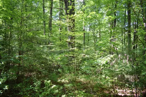 0 Never Blue Rd, Flat Rock, NC 28731 photo 8