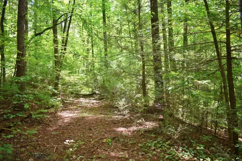 0 Never Blue Rd, Flat Rock, NC 28731 photo 3