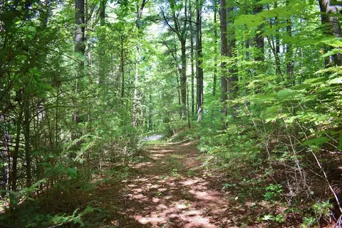 0 Never Blue Rd, Flat Rock, NC 28731 photo 14